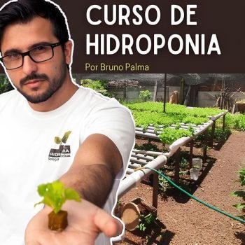 Curso de Hidroponia