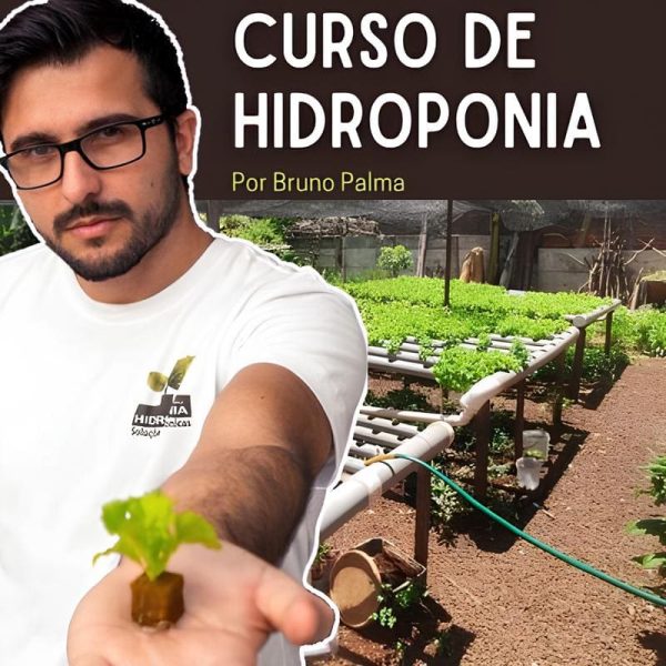 Curso de Hidroponia